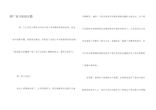 药厂实习总结五篇