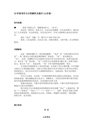 传高考作文分档解析及提升(山东卷)
