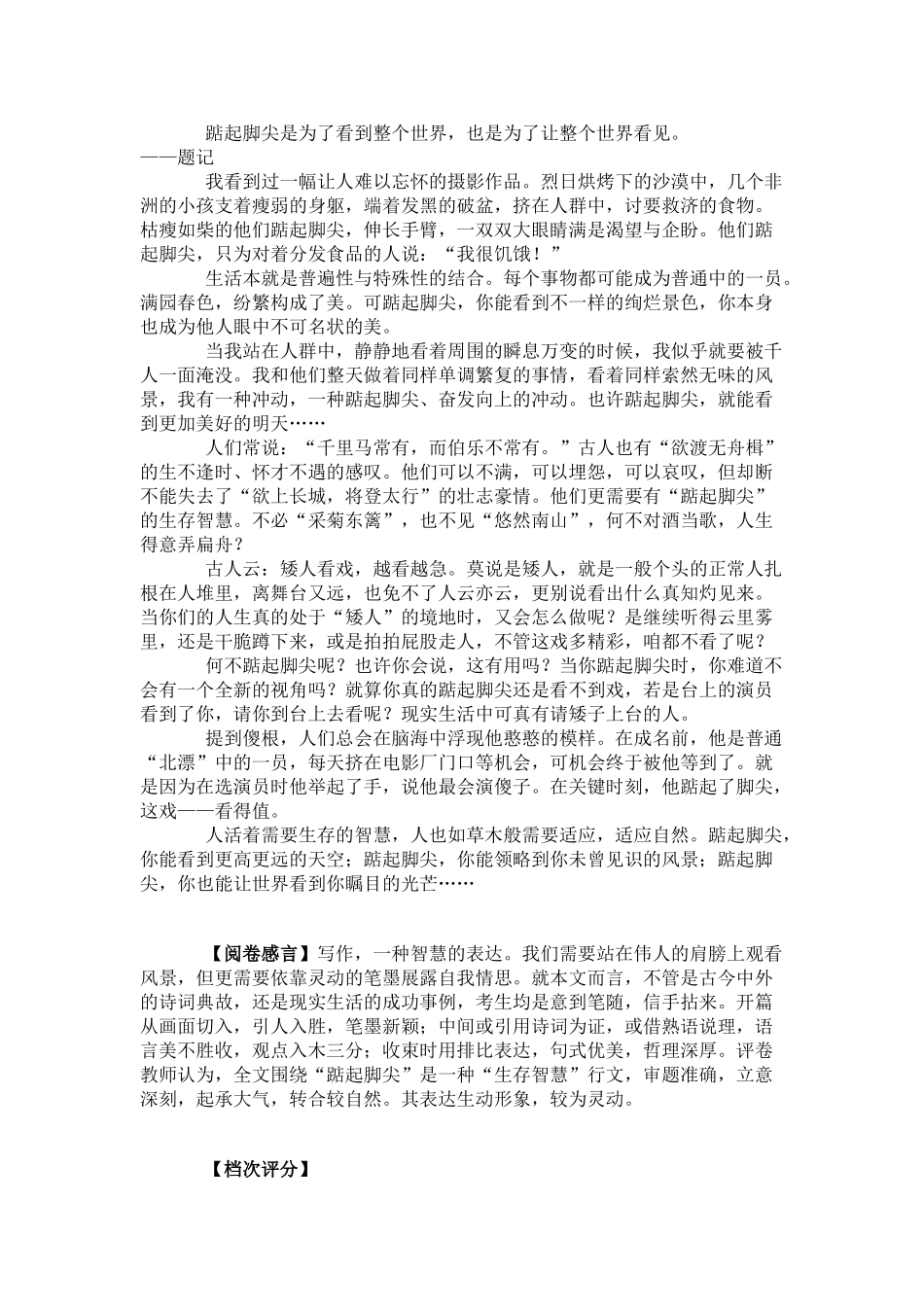 高考作文分档解析及提升(湖南卷)_第3页