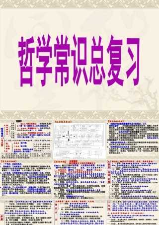 哲学常识总复习哲学常识总复习