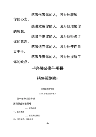 公寓项目销售策划案