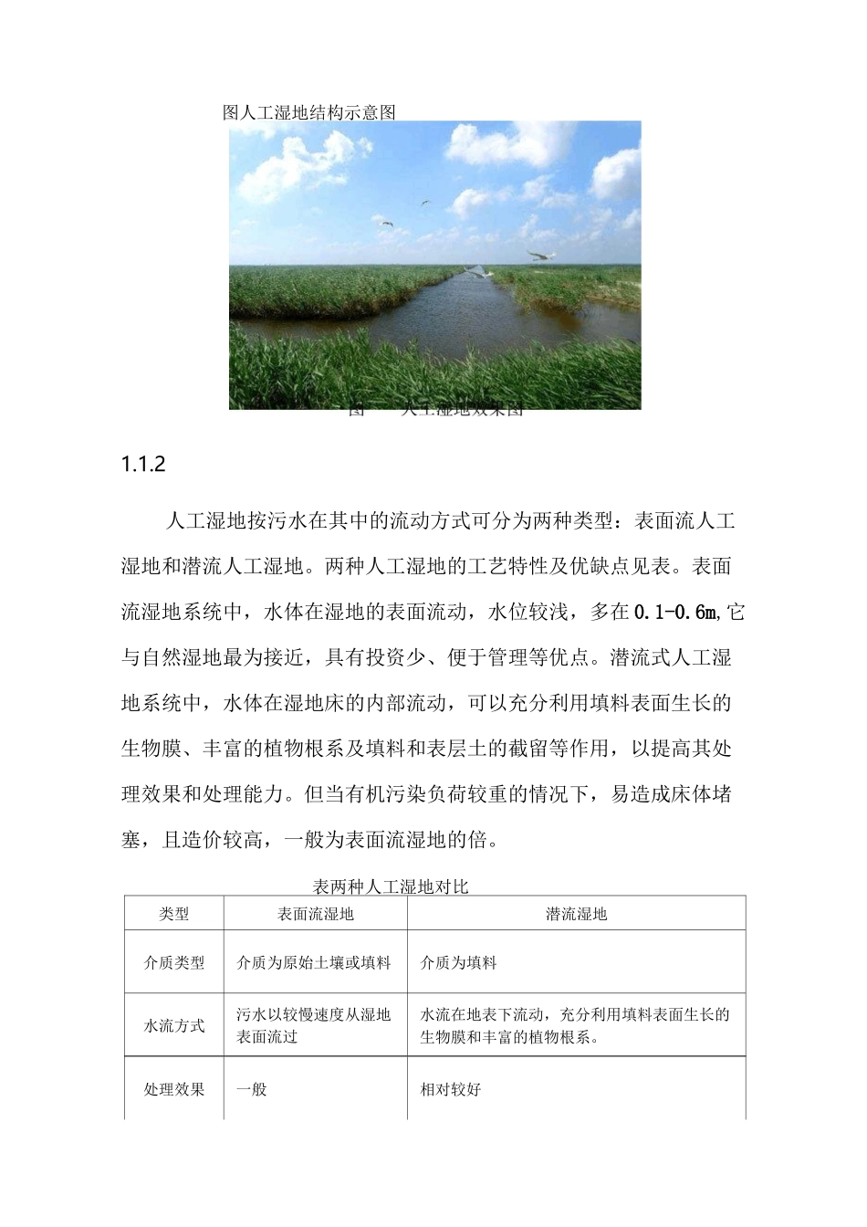 湖泊人工湿地和生态护岸设计_第2页