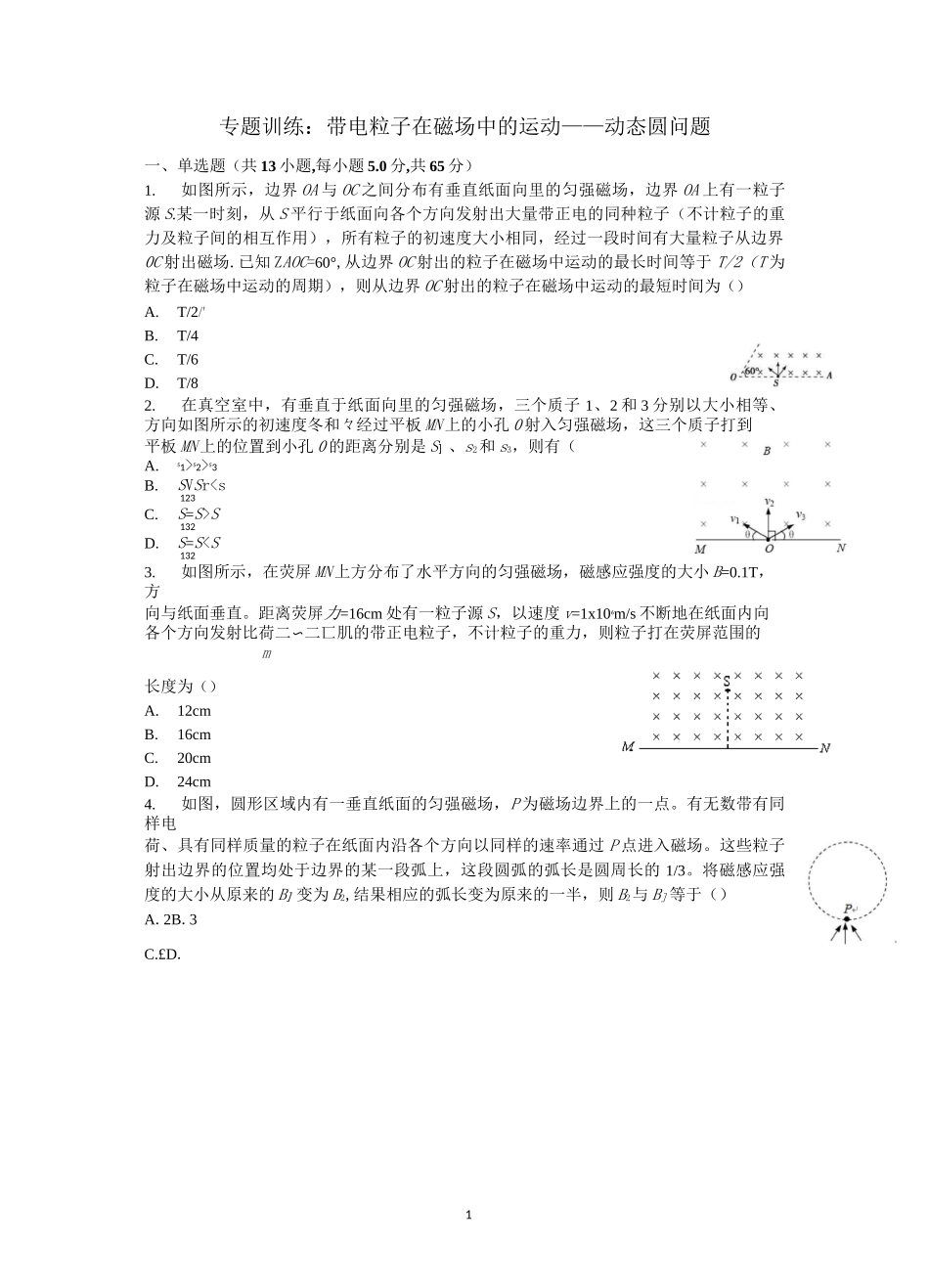 专题训练：带电粒子在磁场中的运动——动态圆问题_第1页