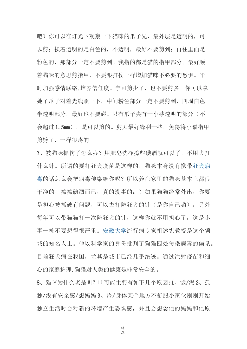 养猫注意事项_第3页