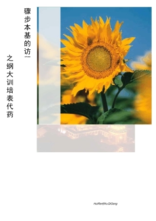 医药代表拜访的基本步骤