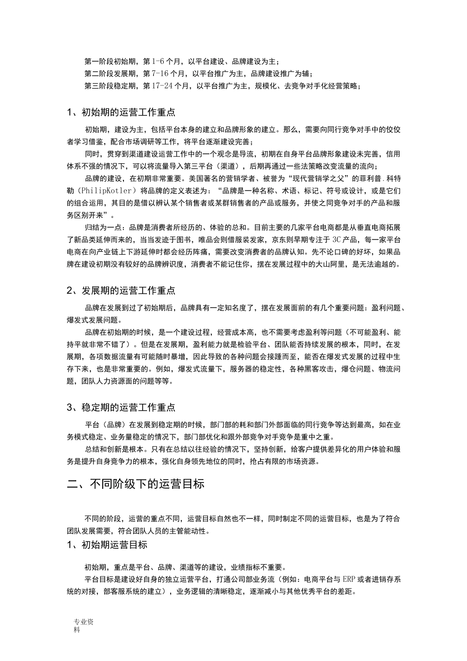 XX跨境电商平台运营发展方案_第2页