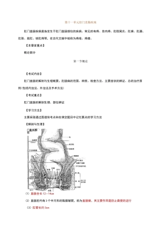 中医外科学讲义肛门直肠疾病
