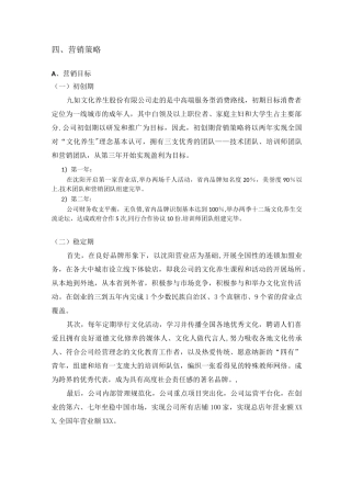 文化产品营销策略