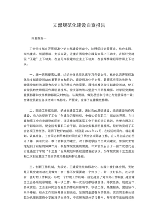 支部规范化建设自查报告