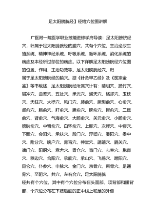 【足太阳膀胱经】经络穴位图讲解