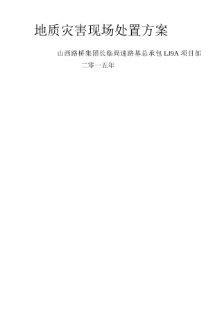 地质灾害现场处置方案