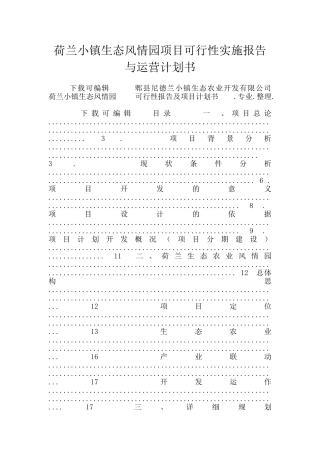 荷兰小镇生态风情园项目可行性实施报告与运营计划书