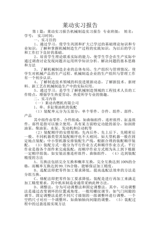 莱动实习报告