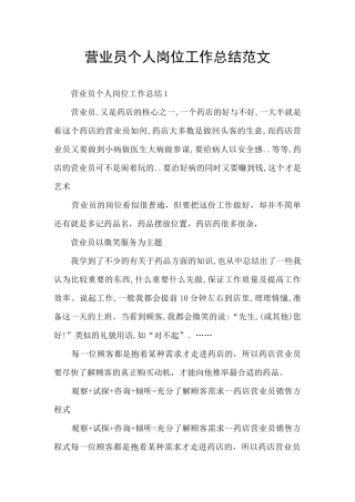 营业员个人岗位工作总结范文