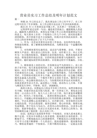营业员实习工作总结及明年计划范文