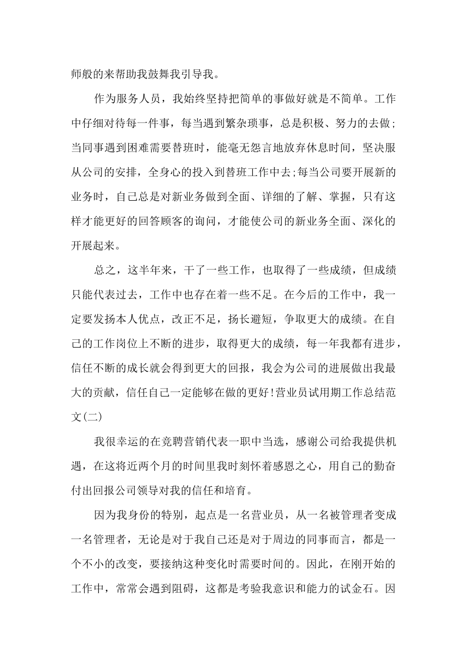 营业员试用期工作总结_第3页