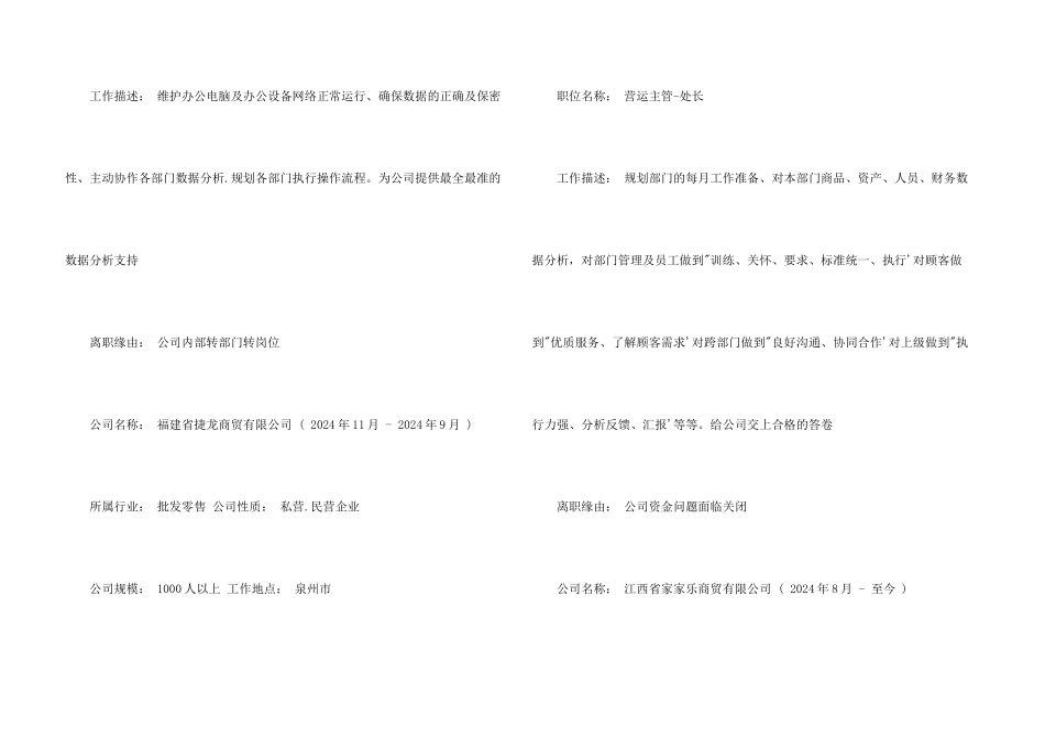 营运电子简历模板_第3页