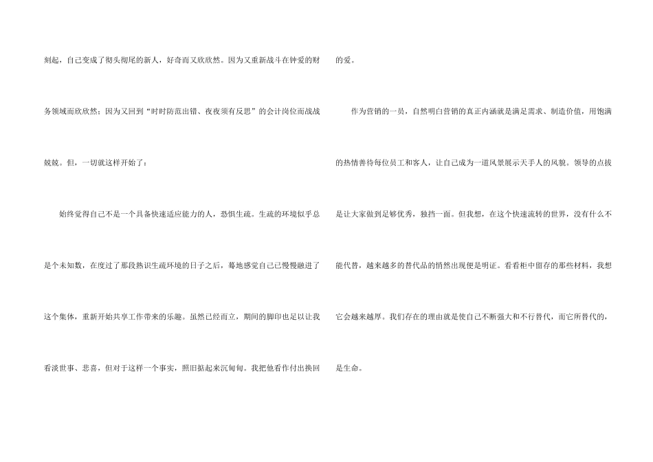 营销人员年终总结_第2页