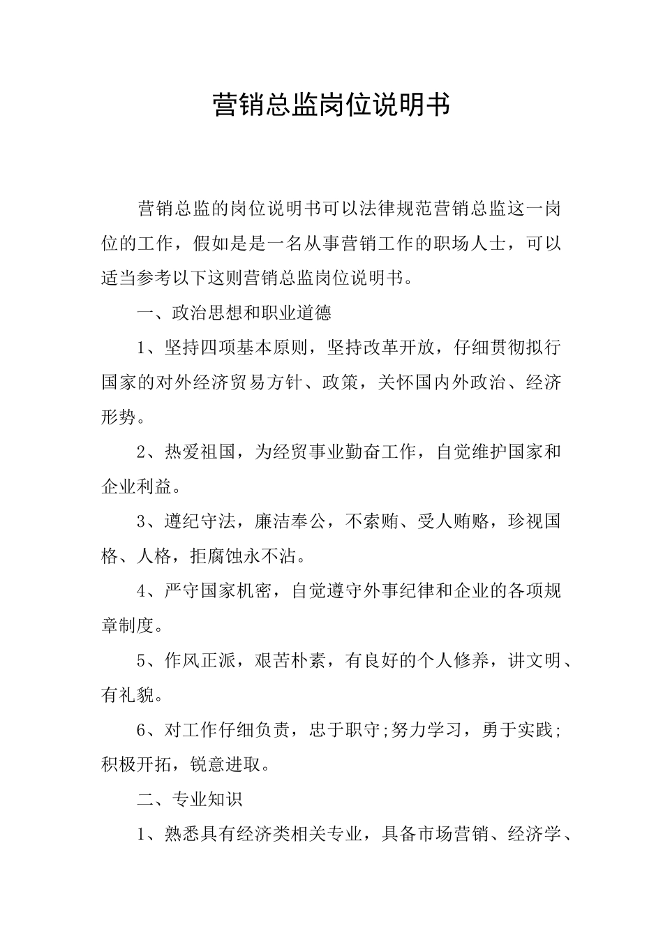 营销总监岗位说明书_第1页