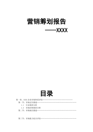 营销策划报告与市场定位