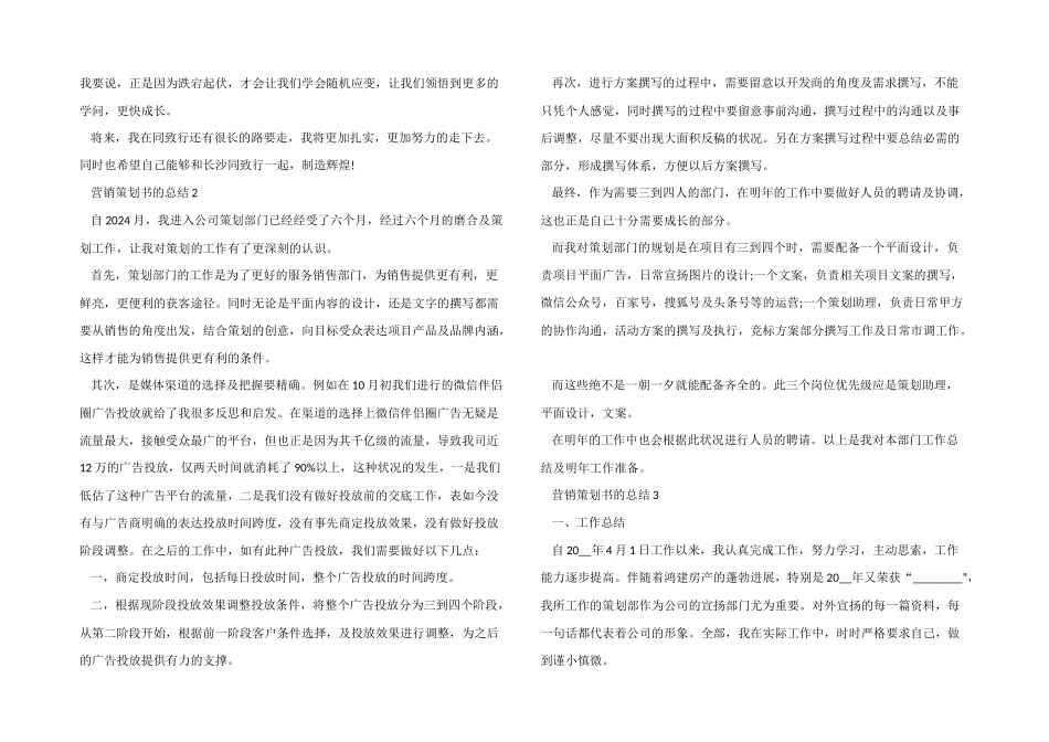 营销策划书的工作总结分享_第3页