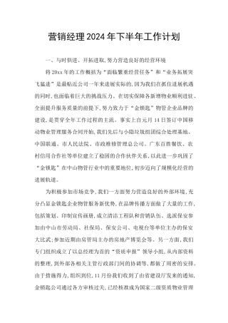 营销经理2024年下半年工作计划