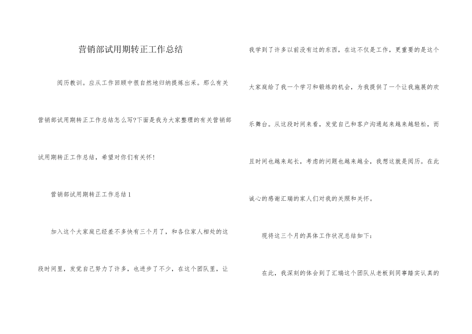 营销部试用期转正工作总结_第1页