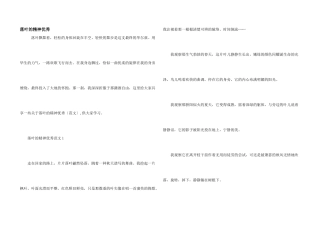 落叶的精神优秀