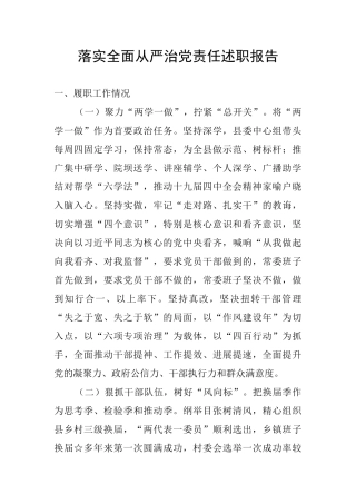 落实全面从严治党责任述职报告