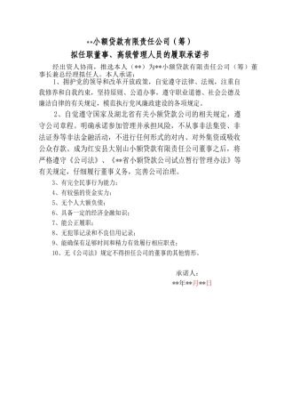 董事及高管履职承诺书