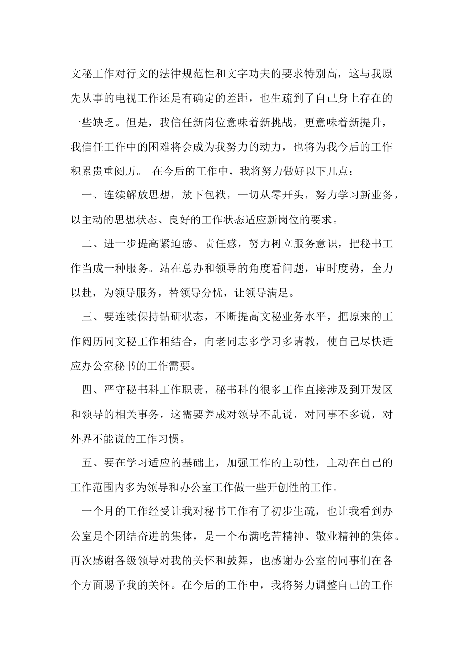 董事长秘书试用期工作总结范本_第2页