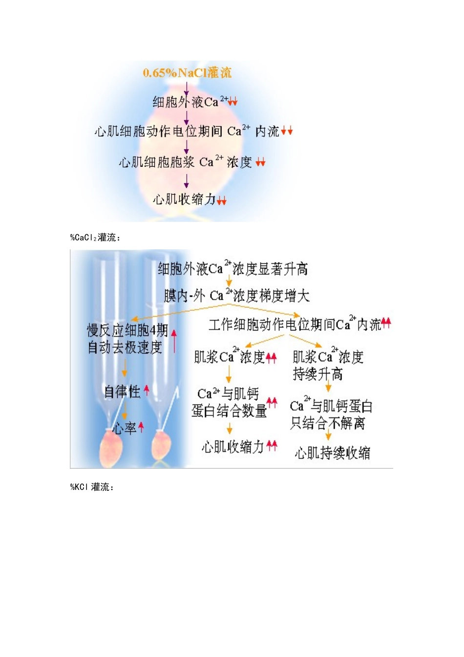 蛙心灌流实验报告_第2页