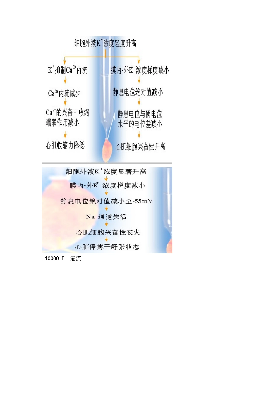 蛙心灌流实验报告_第3页