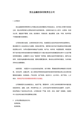 融资担保公司运作方案