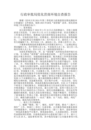 行政审批局优化营商环境自查报告