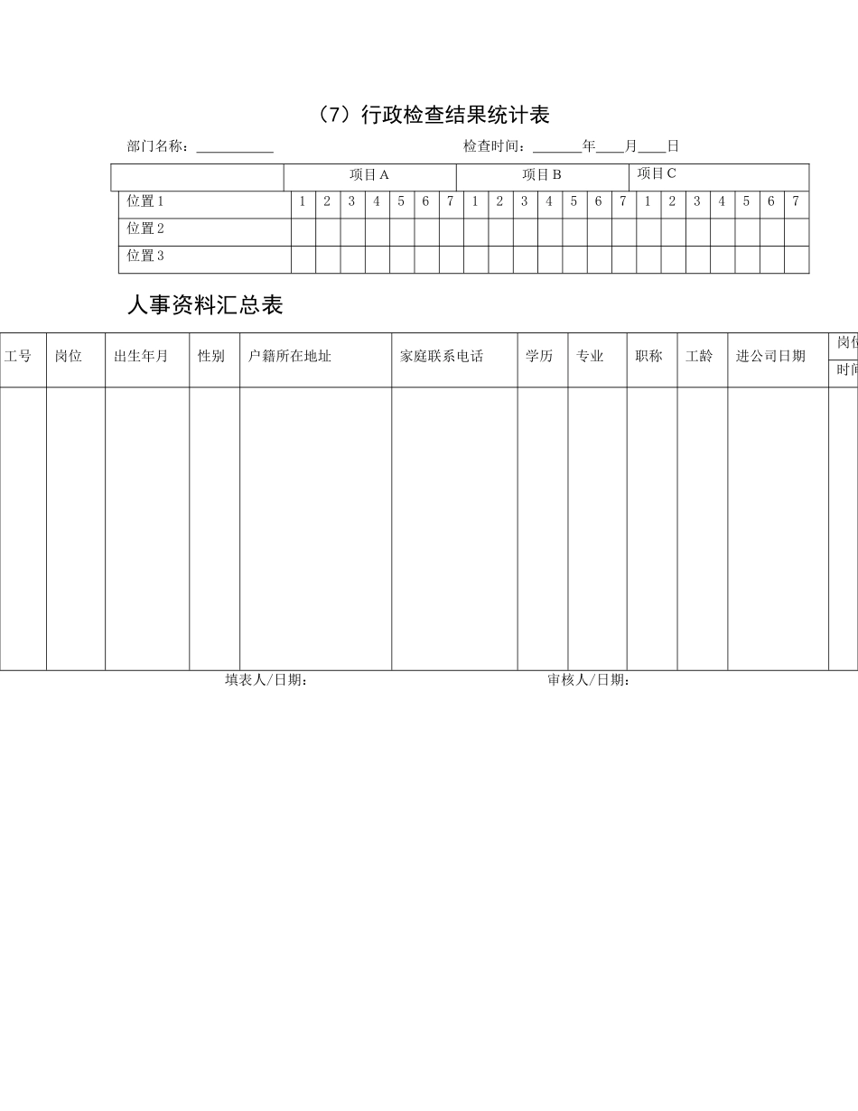 行政检查结果汇总表DOC表格_第1页