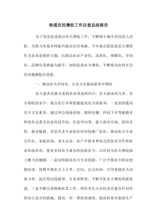 街道农民增收工作自查总结报告