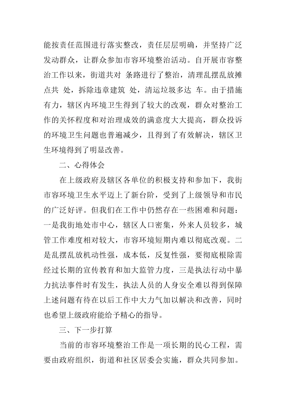 街道市容环境综合整治工作小结_第2页