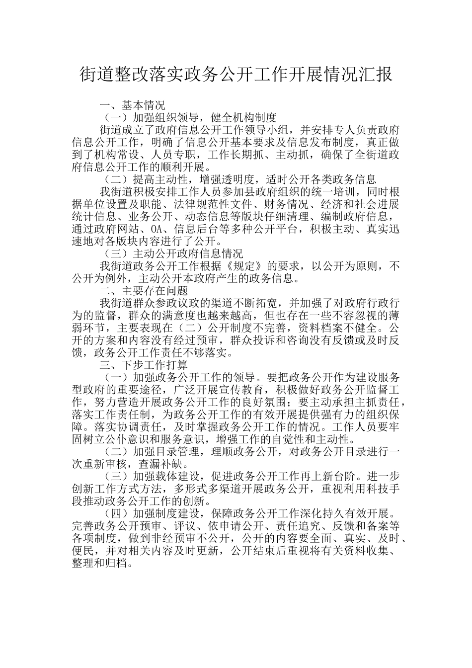 街道整改落实政务公开工作开展情况汇报_第1页