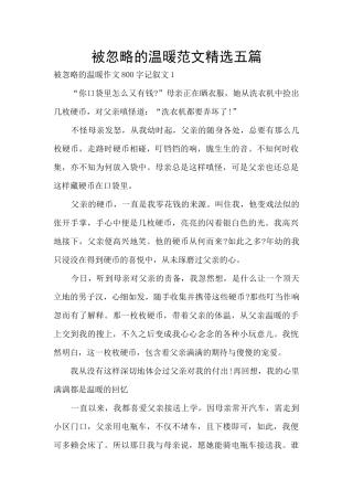 被忽略的温暖范文精选五篇