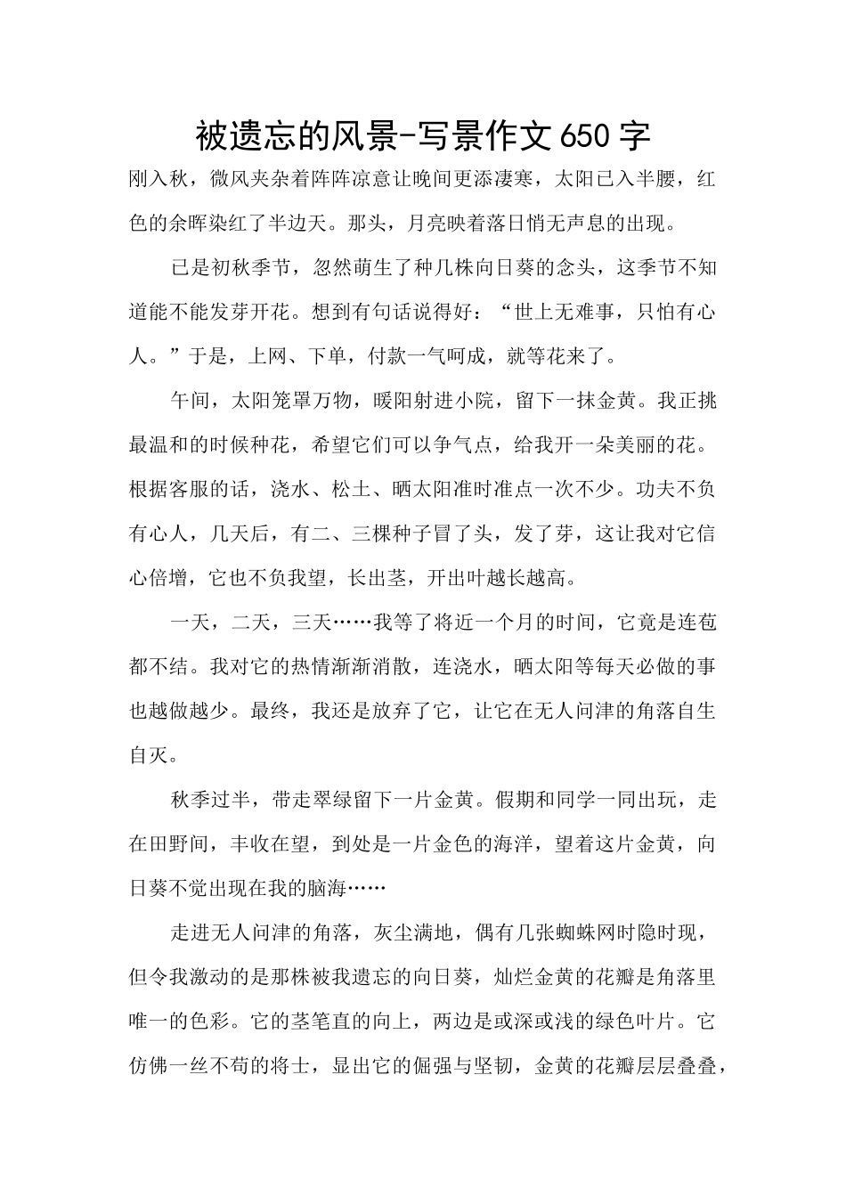 被遗忘的风景_第1页