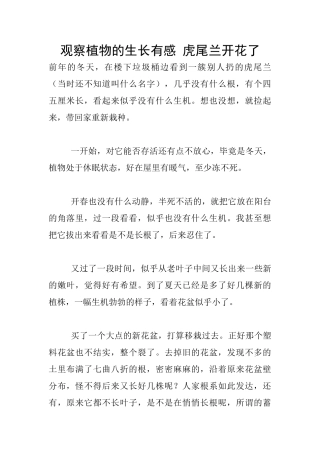 观察植物的生长有感
