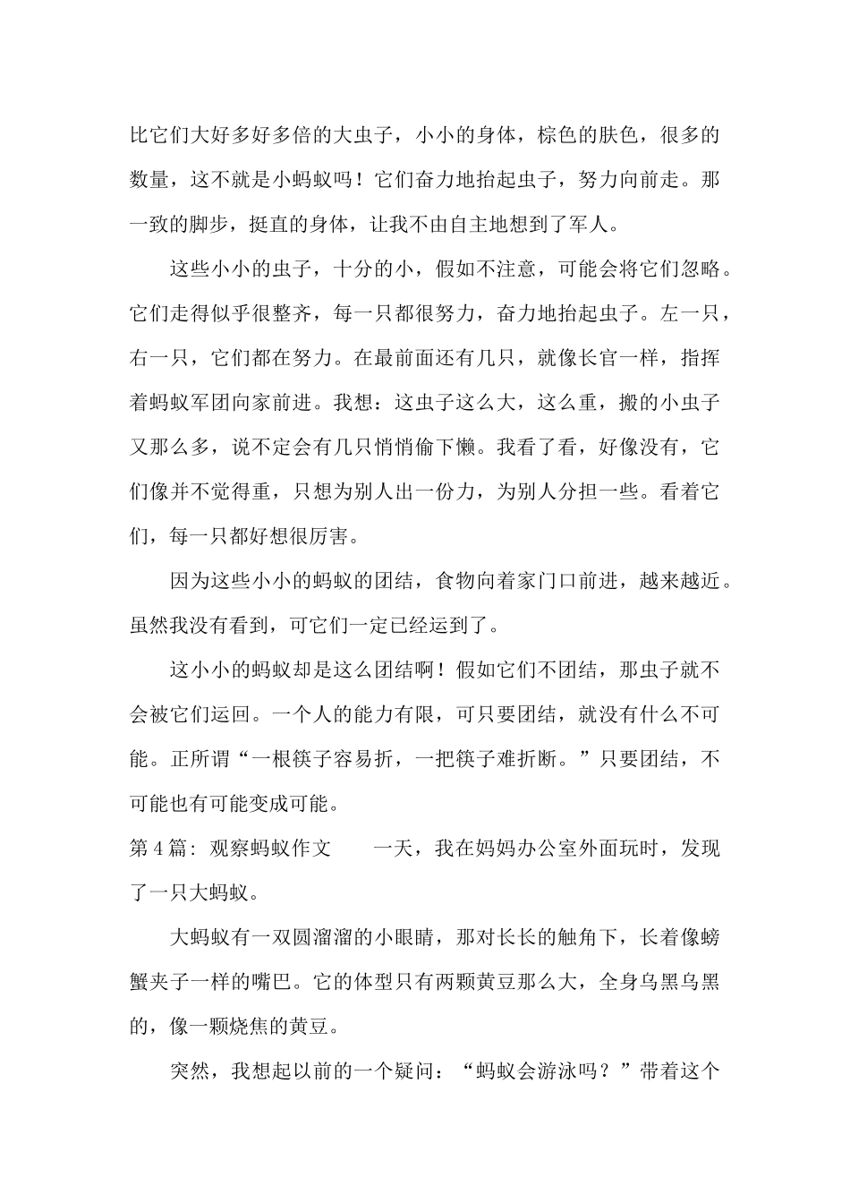 观察蚂蚁作文范文十八篇_第3页
