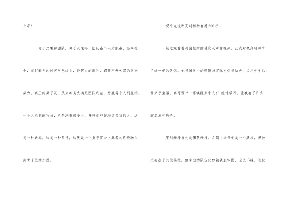 观电视剧亮剑精神有感500字_第3页