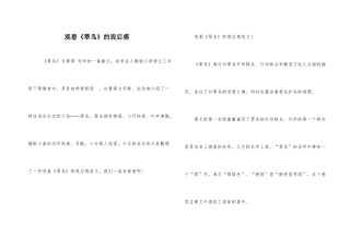 观看《翠鸟》的观后感