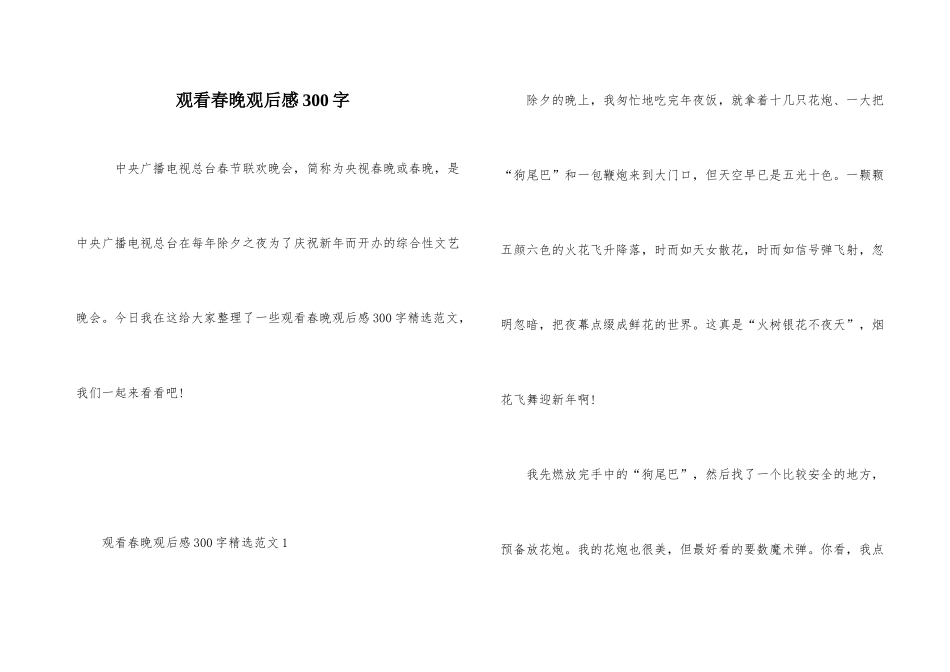 观看春晚观后感300字_第1页