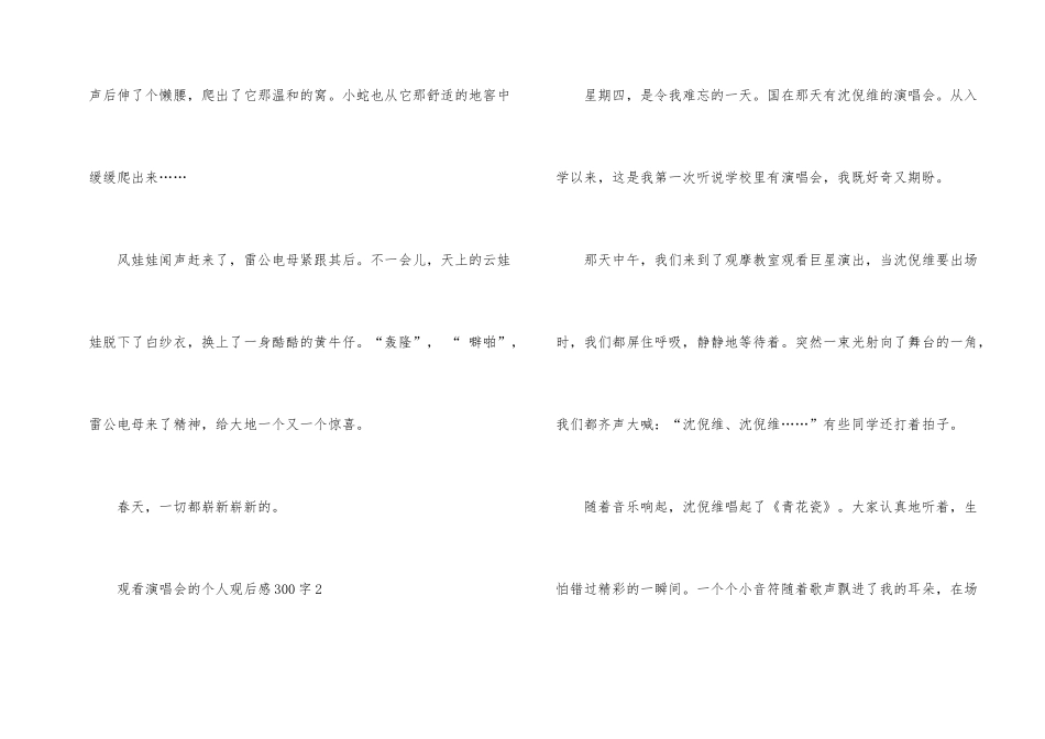 观看演唱会的个人观后感300字_第2页