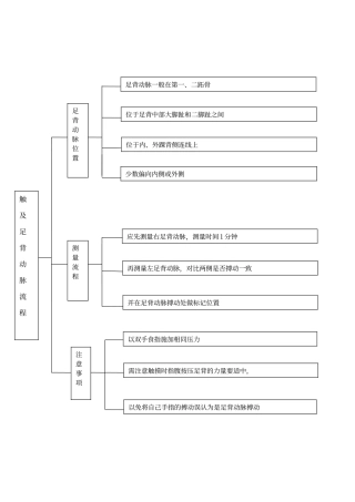 触及足背动脉流程