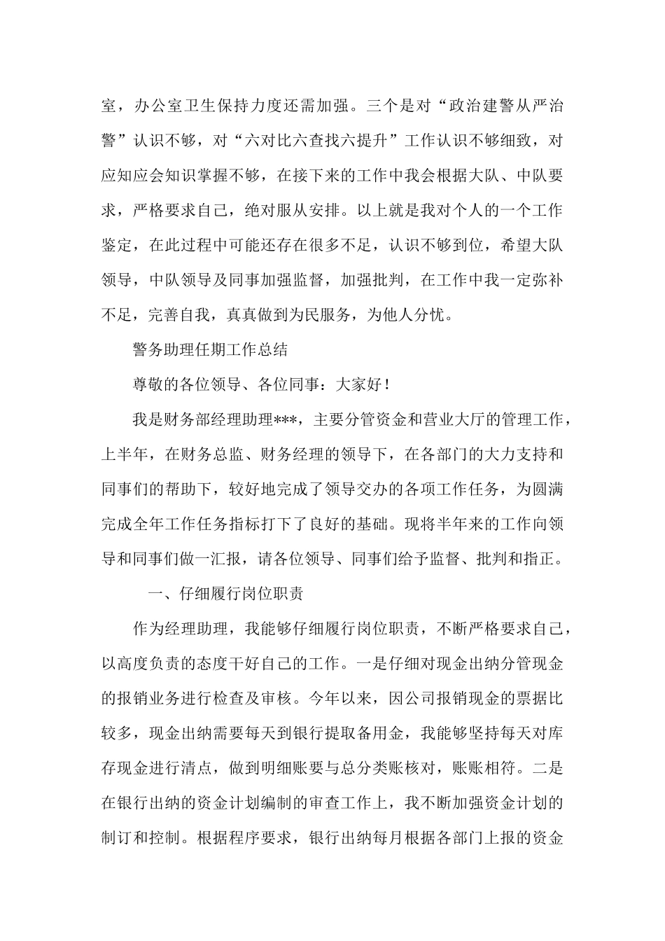 警务助理任期工作总结_第3页