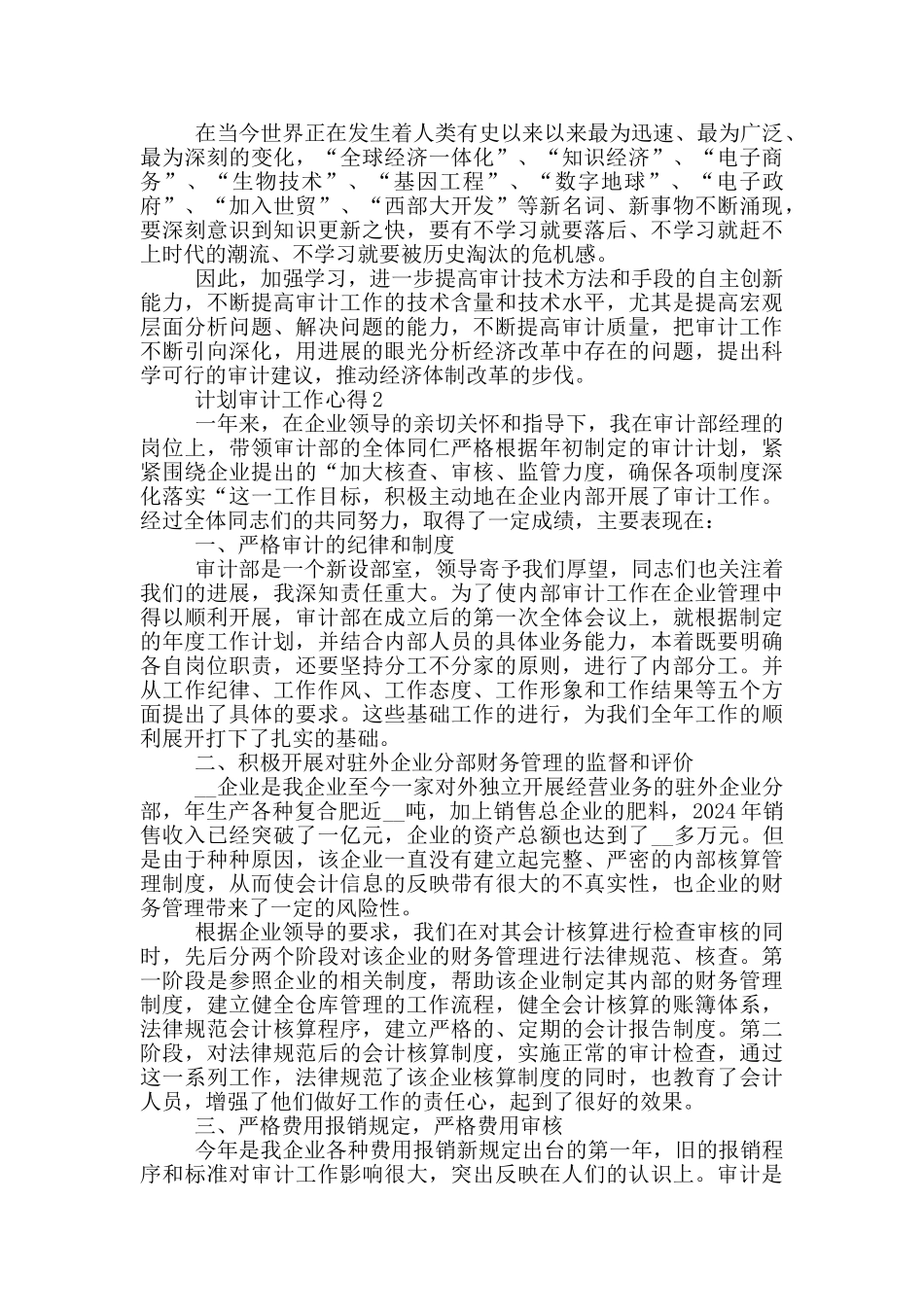计划审计工作心得_第2页